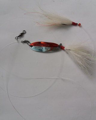 Fishing Rig for Asp with Kastmaster 10 grams