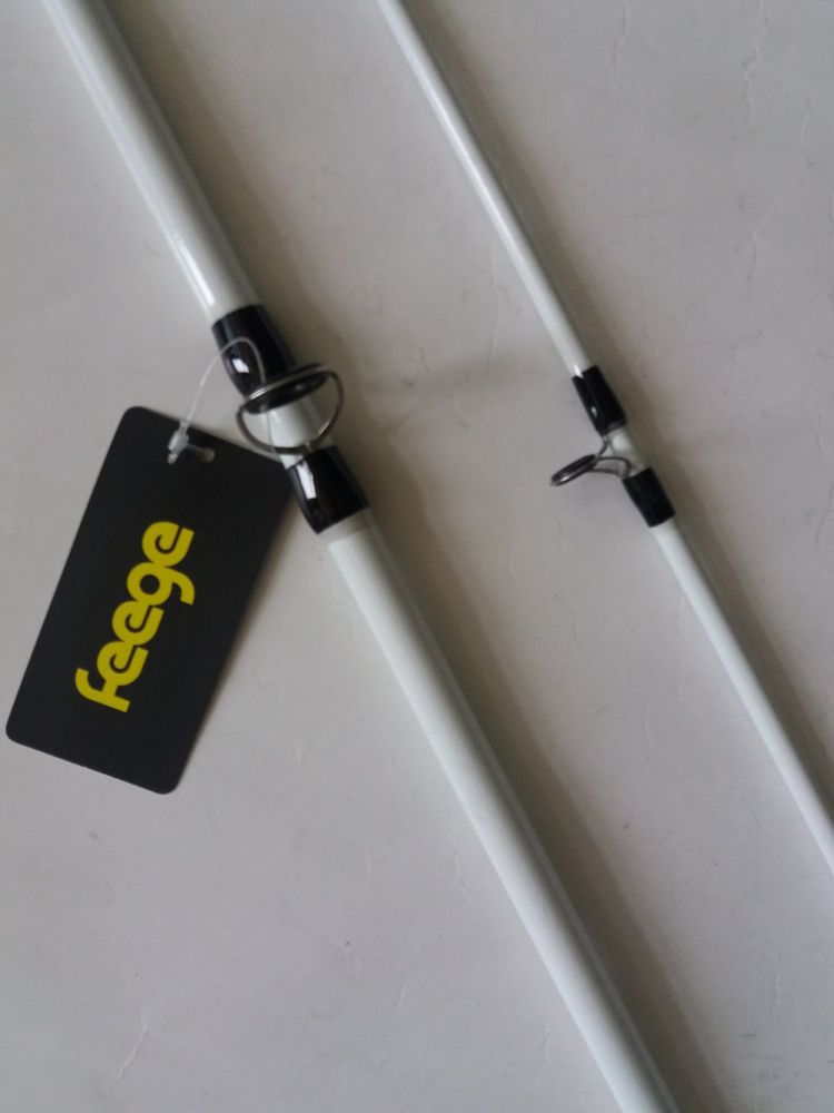 FEEGE Spinning Rod 2.40 m Test 100-250 grams