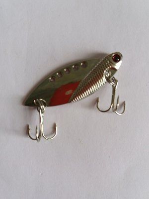 Cicada 10 Gramm Farbe SILBER