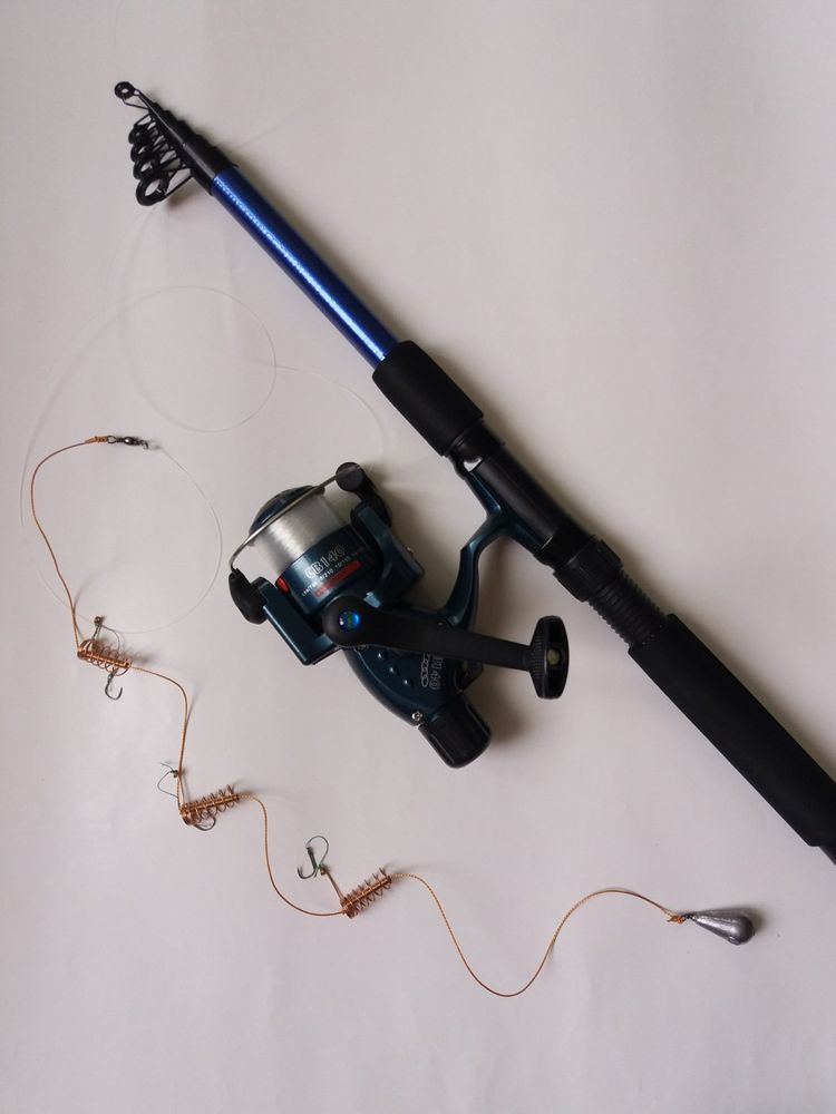 Telescopic Spinning Rod 2.4 m Test 40-60 Grams equipped with Crucian Carp Rig Rigged and Ready