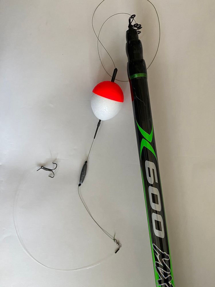 6 m Carbon Rod with Guides for Pike and Perch Fishing with Live Bait &ndash; Fully Rigged