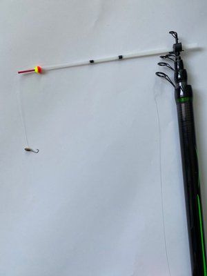 Omega Carbon Fiber Fishing Rod 5 meters with Guides with Side Bite Alarm Rigged and Ready
