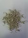 Ant with Ear Tungsten Ice Fishing Lure 6 mm 2.9 grams SILVER Colour