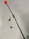 Rigged Ice Fishing Rod for Catching Peaceful Fish in Stagnant Water