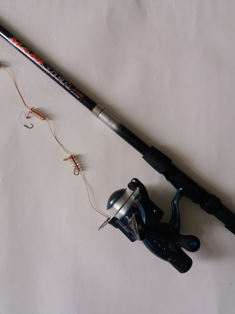 Telescopic Spinning Rod 2.1 m Test 40-60 Grams equipped with Crucian Carp Rig Rigged and Ready